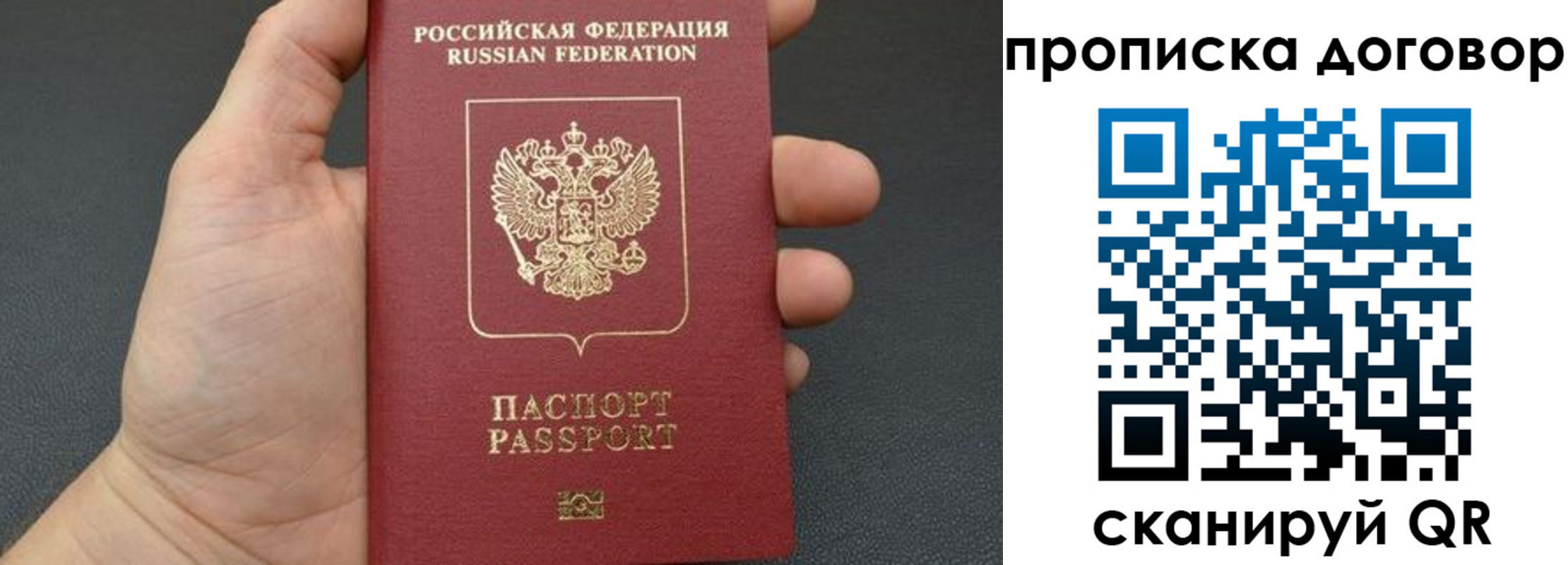 прописка в Тосно